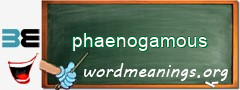 WordMeaning blackboard for phaenogamous